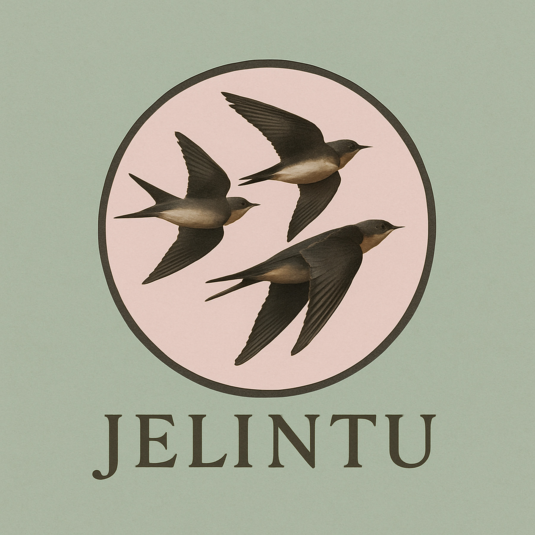 Jelintu – Birds Fly High Cover